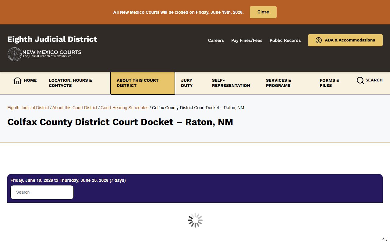 Colfax County District Court docket page for Raton