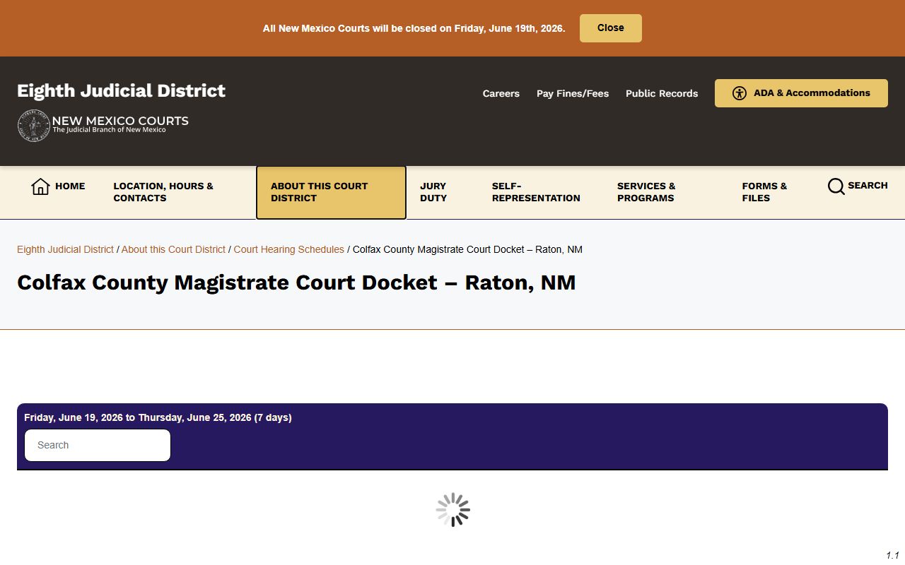 Raton Magistrate Court docket page